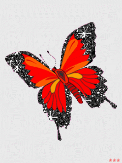 Бабочка на желтом цветке. Картинки на телефон 240х320 анимация.
